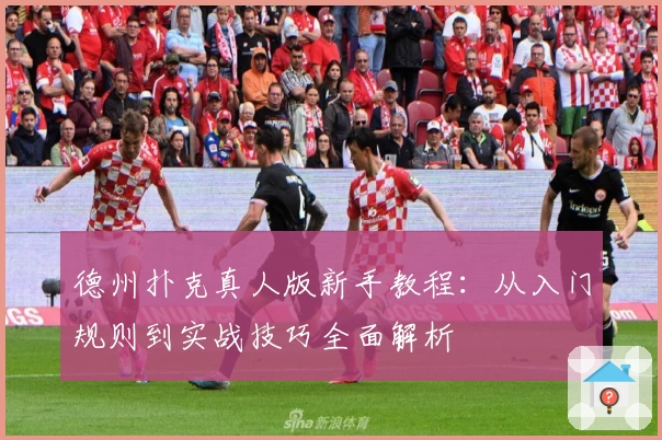 德州扑克真人版新手教程：从入门规则到实战技巧全面解析