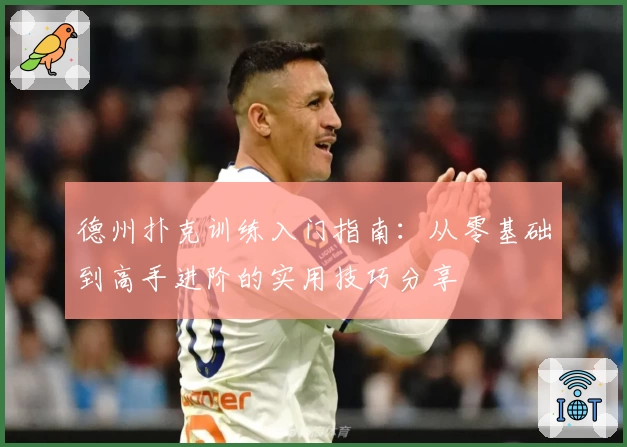 德州扑克训练入门指南:从零基础到高手进阶的实用技巧分享