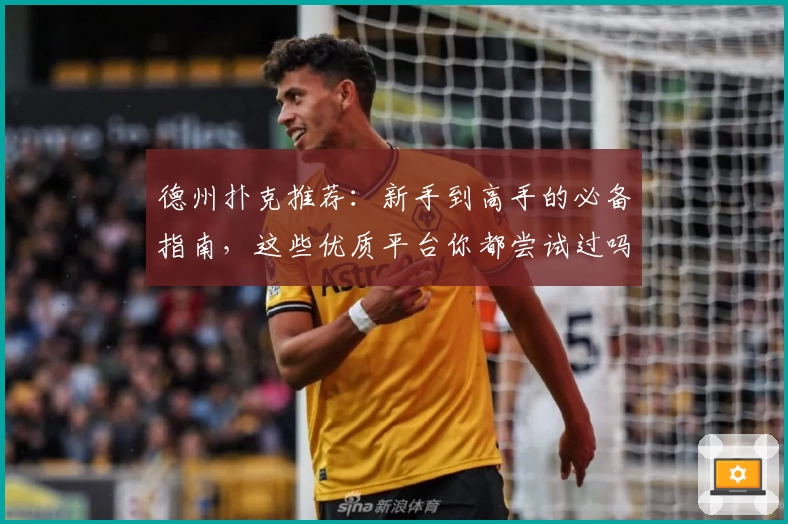 德州扑克推荐：新手到高手的必备指南，这些优质平台你都尝试过吗