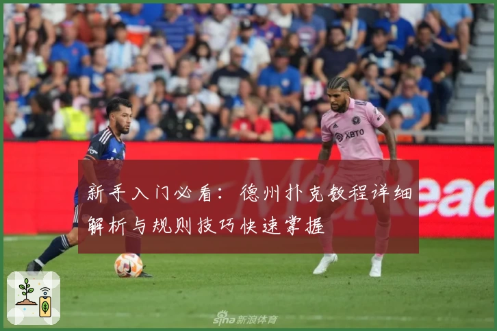 新手入门必看：德州扑克教程详细解析与规则技巧快速掌握