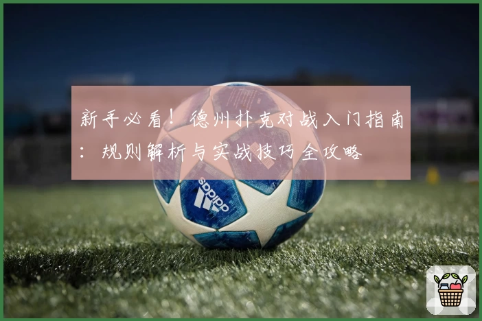 新手必看！德州扑克对战入门指南：规则解析与实战技巧全攻略